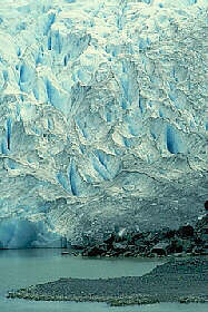 The Bear Glacier