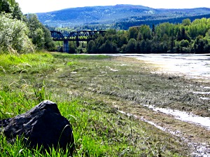 Nechako River